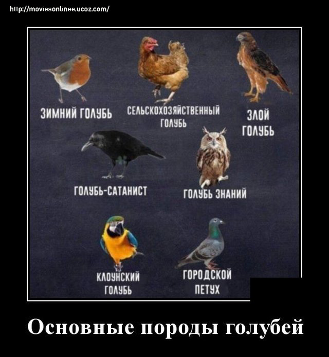 https://s01.yapfiles.ru/files/2400015/1592401964_demotivatory_18.jpg