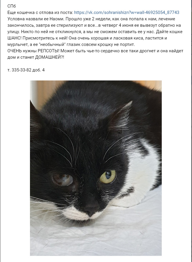 https://s01.yapfiles.ru/files/2400463/2.jpg