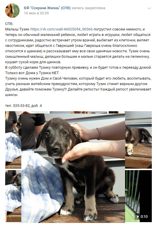 https://s01.yapfiles.ru/files/2400465/2.jpg