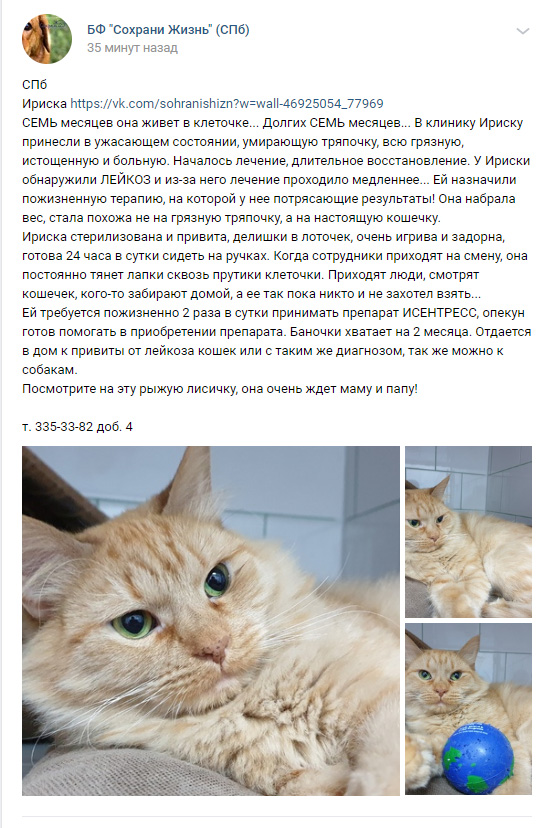 https://s01.yapfiles.ru/files/2400473/2.jpg