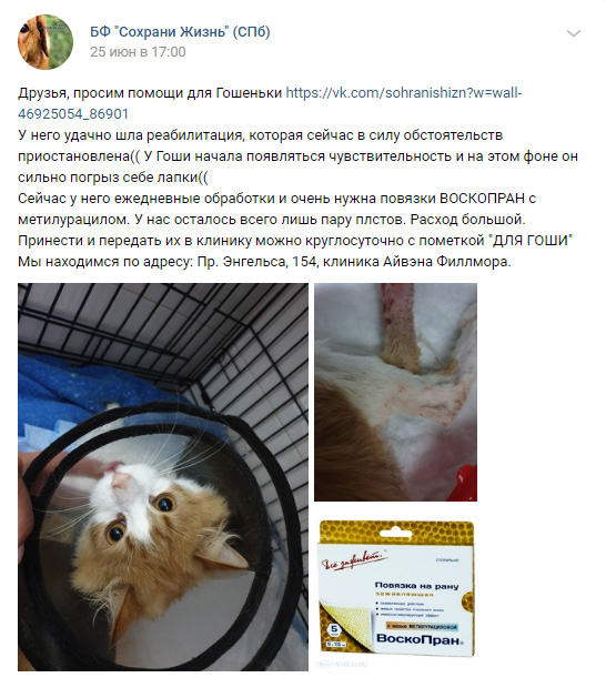 https://s01.yapfiles.ru/files/2400477/2.jpg