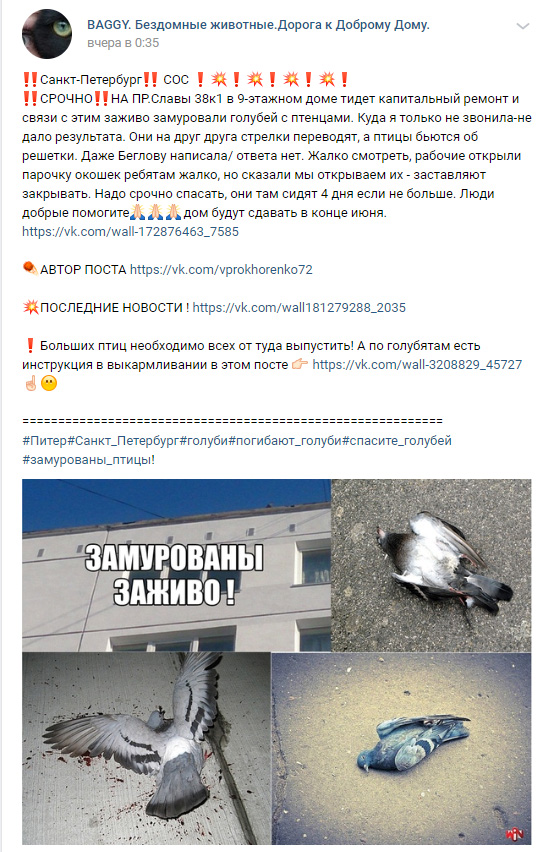 https://s01.yapfiles.ru/files/2400483/2.jpg