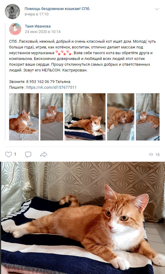 https://s01.yapfiles.ru/files/2400487/2.jpg