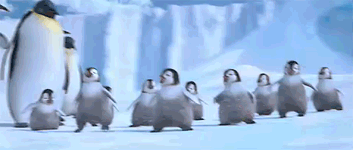 45803846_PenguinsDance
