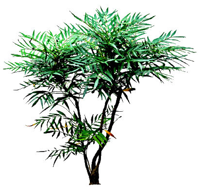 754_tes-17
