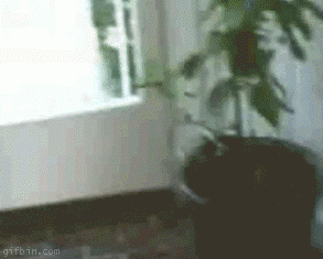 breakdancer-baby