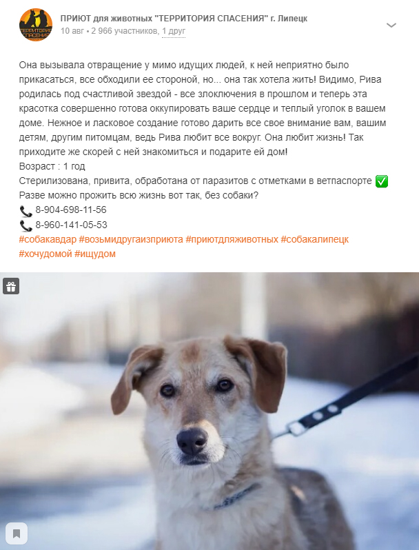 https://s01.yapfiles.ru/files/2422397/7.jpg