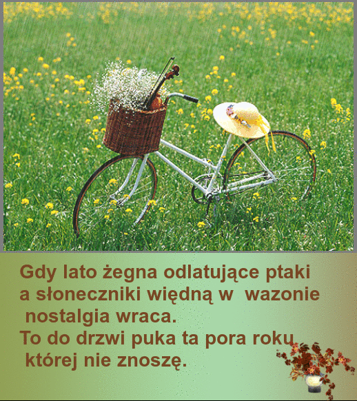 zBrxMs9gzb7c