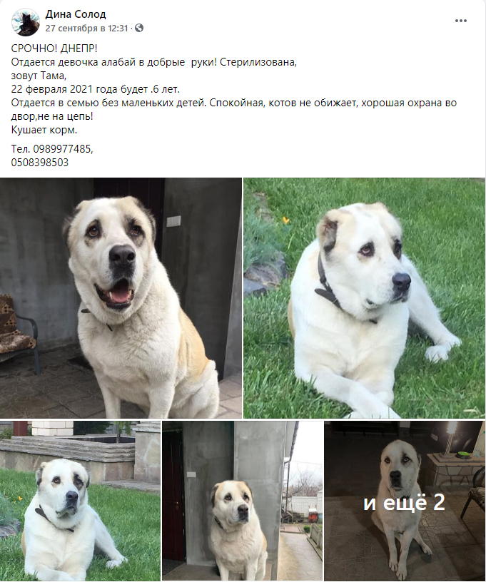 https://s01.yapfiles.ru/files/2443875/7.jpg
