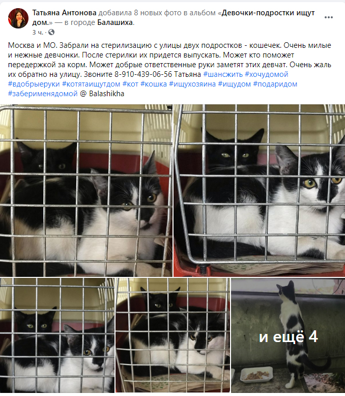 https://s01.yapfiles.ru/files/2443883/7.jpg