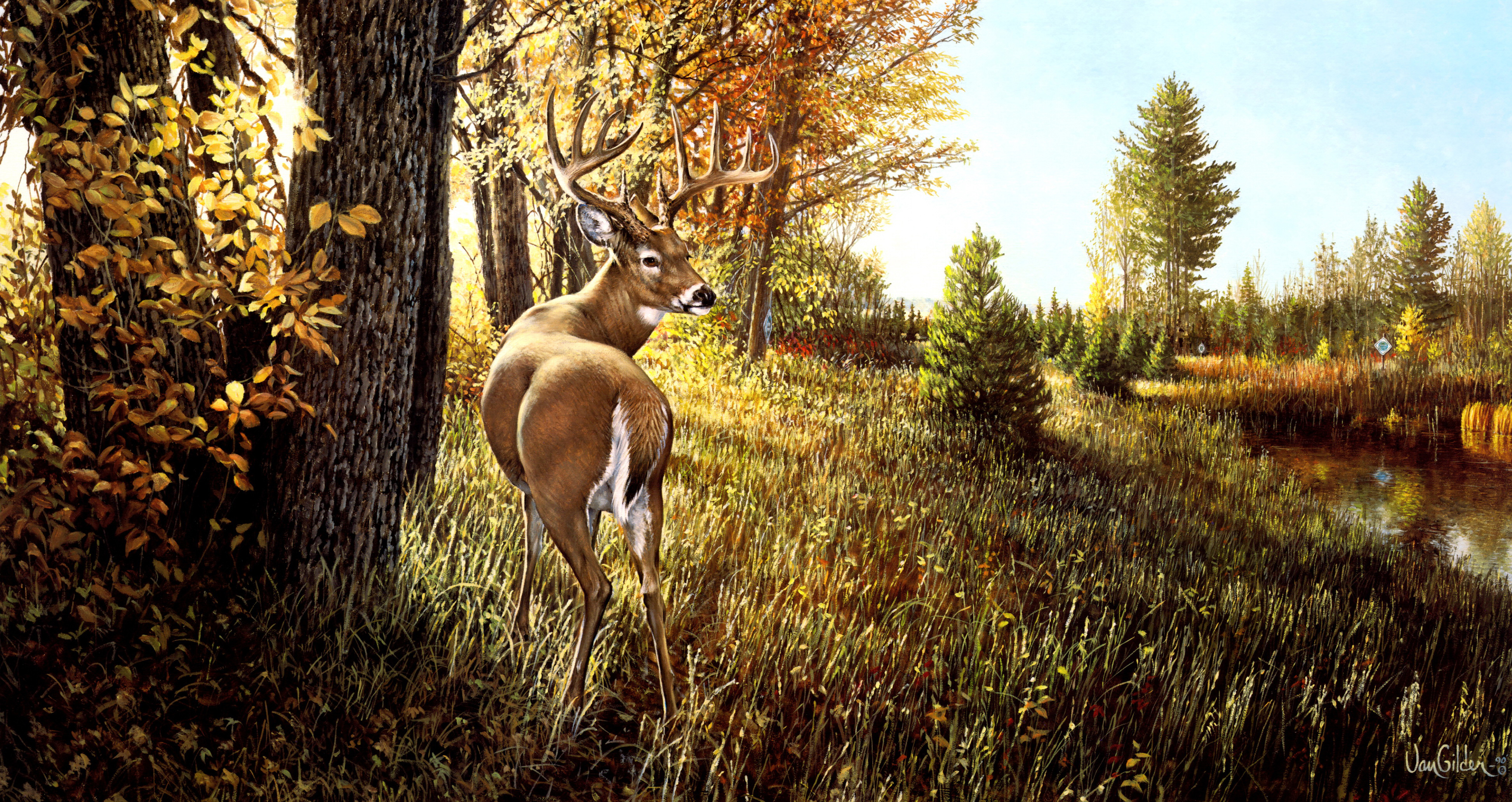 Олень в березах. Олень в лесу. Осенний пейзаж с оленем. Картина олени. Красивые пейзажи с оленями.