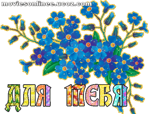 143350048_cvety_97