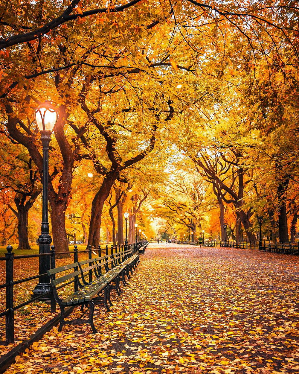 Осень в Нью-Йорке» (autumn in New York), 2000