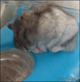 33b93d223c19cdb523aa7a9832af9f33