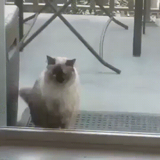 -открой_
