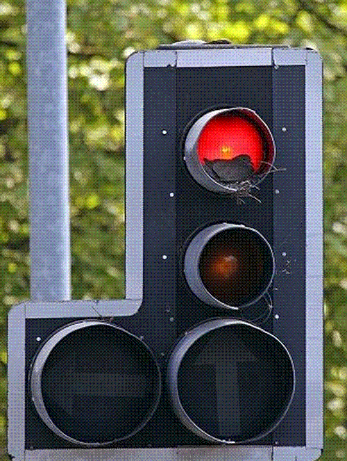 traffic_02