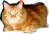 АВАТ