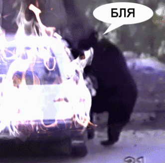 1368448185_567514543