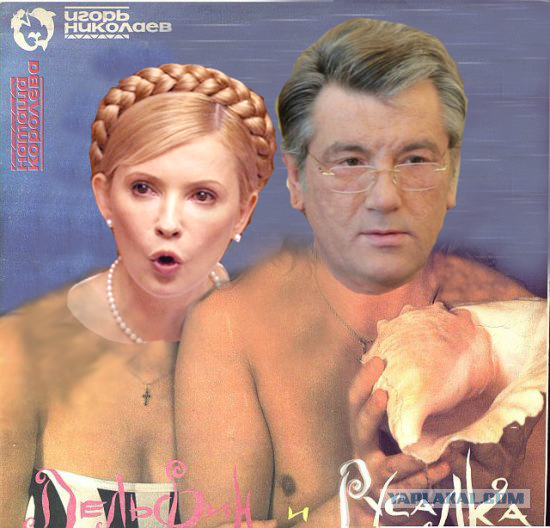 пластинка жаба