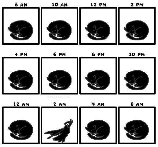 котэ-тыгыдык-6403863