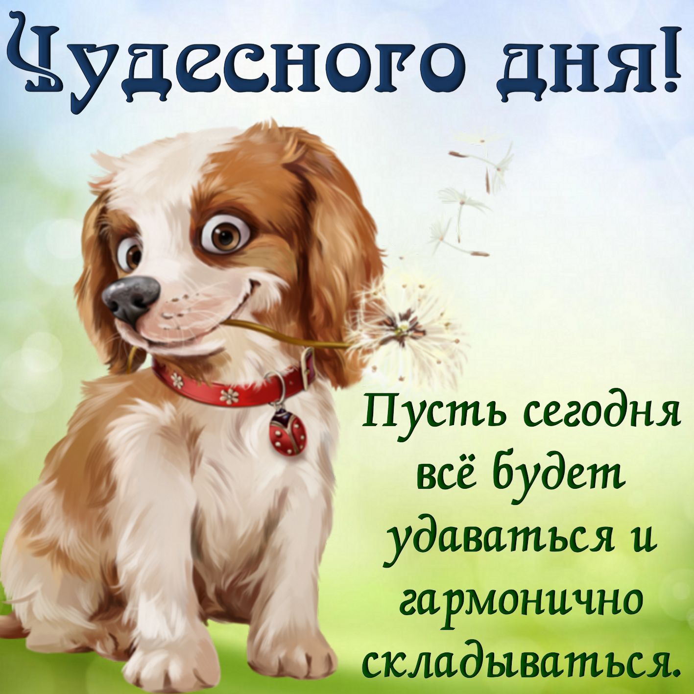 ПРИВЕТСТВУЕМ НОВЫХ ПОЛЬЗОВАТЕЛЕЙ! Samogoluchshegohoroshegodobrogoudachnogoprekrasnogochudesnogozamechatelnogodnyainastroeniya15