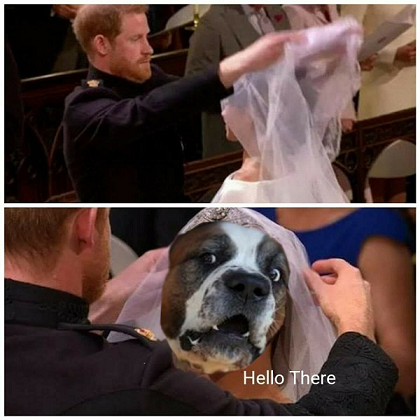 scale_1200.pngdasdasdas