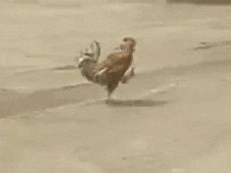 E245E9FB-DCDF-4F12-9995-CDADDA26D894