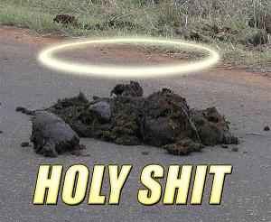 holy_shit