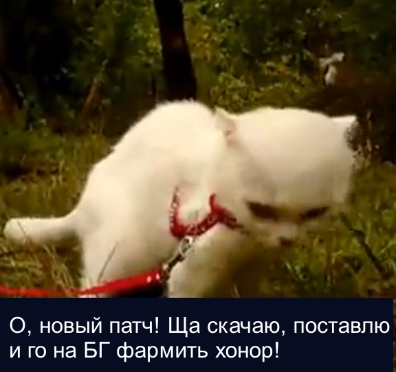 новый-1