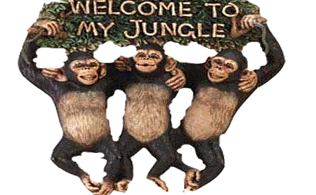 mjungle