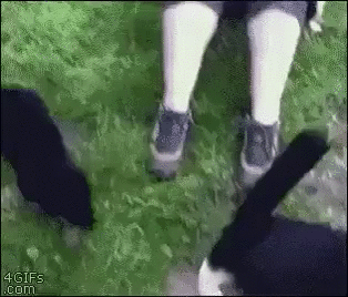 ...................