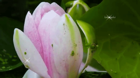 81df7a7100c3bb7afaad3e3ea9e0e6a5