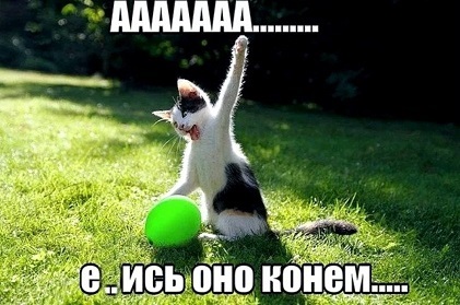 ебись.gif