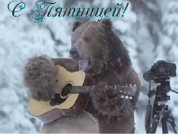 открытка с пятницей медведь