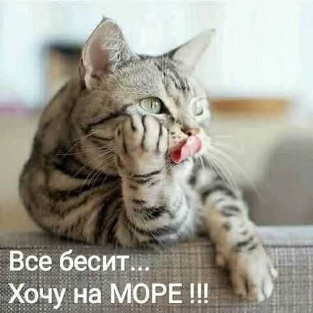 d2e103954e550dcb157197bc2e42cf7b