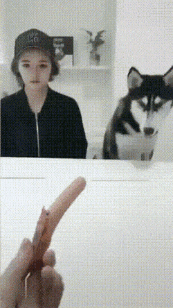 daily_gifdump-34-8