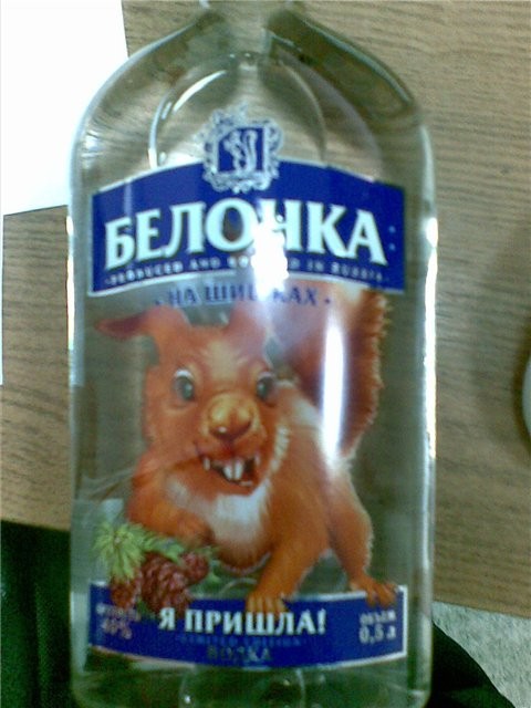 белочка
