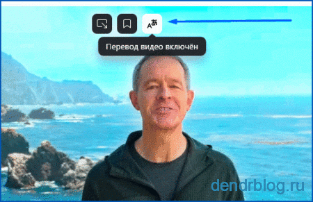 translate-video-in-yandex-browser-1-450x291