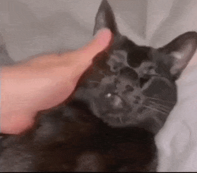 daily_gifdump-8-11