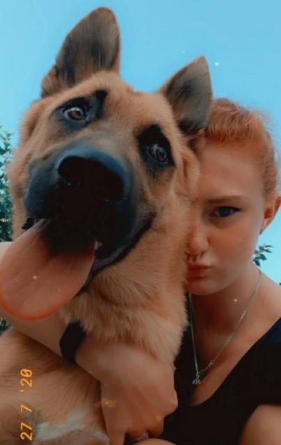 1ae9388e-837b-41c0-9397-18cf9dfcdda7