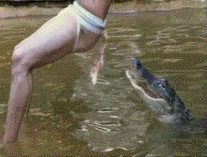 1308805396_1300190378_rryorsr_0001-new