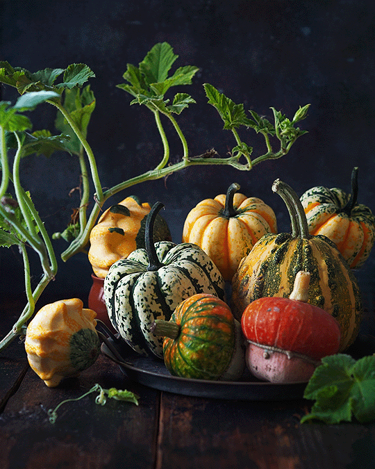 c539e8122029709.60d1ae21ca136 (3)