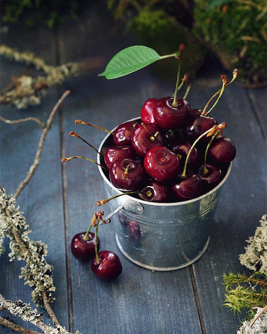 e217e4c02319966d3592e20e0a2ef6e2