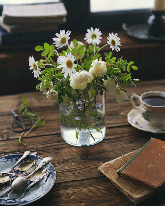 a46def2c6c43dfb7f0ed4e9d76baf589