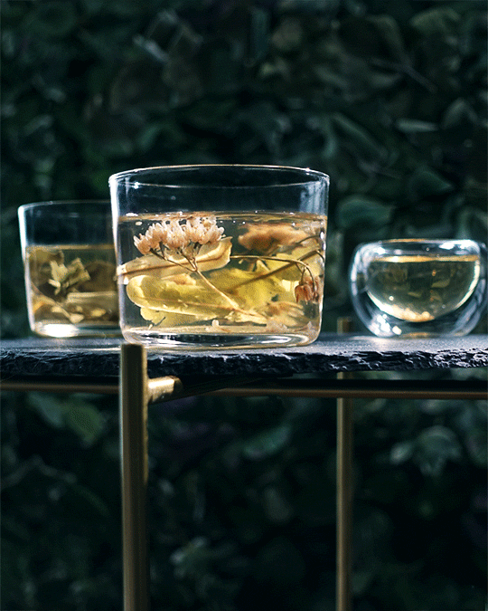 tumblr_692feb24257c720a50c72c7a60f33189_28cc633e_540