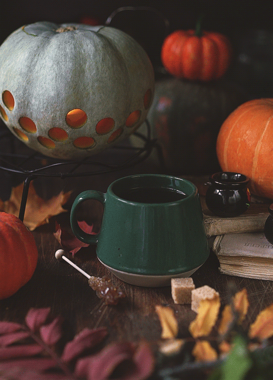 76caa858175611.59f203d5f005b (6)