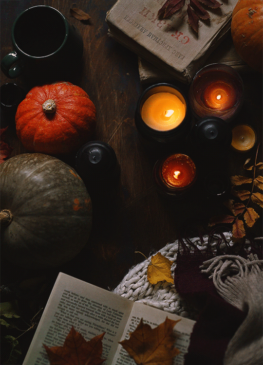 db5de472032195.5bd9918bb36b8 (3)