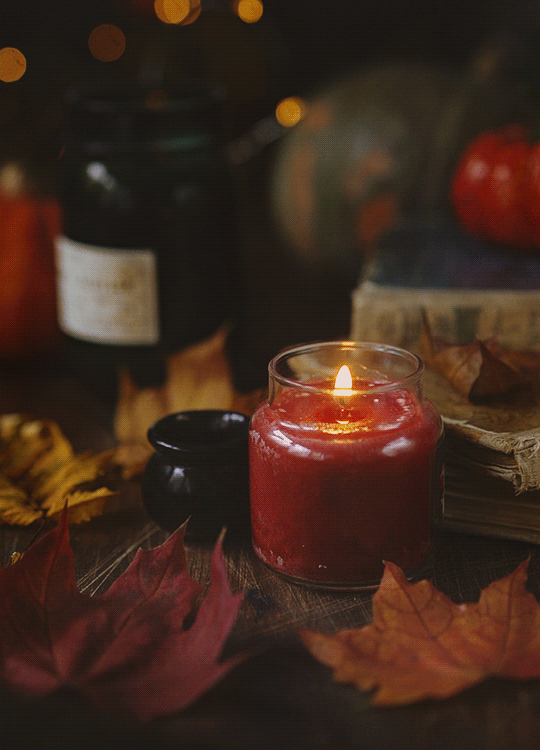 db5de472032195.5bd9918bb36b8 (3а)