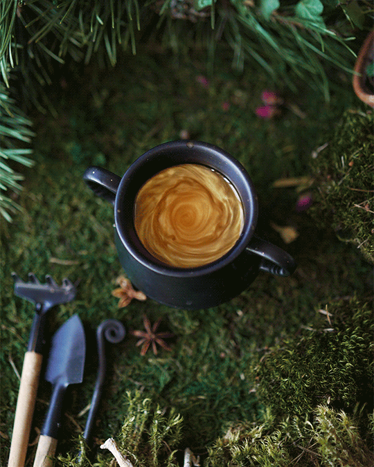 3a3d7186747387.5da35d64880a8 (8)2