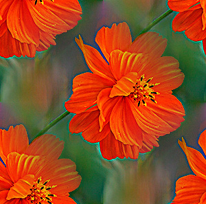 Бесшовные Оранжевые фоны от tane4ki 777